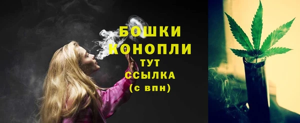 сатива Баксан