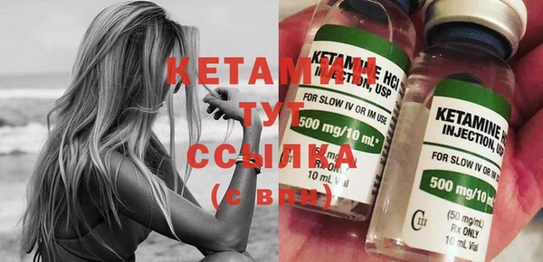 сатива Баксан